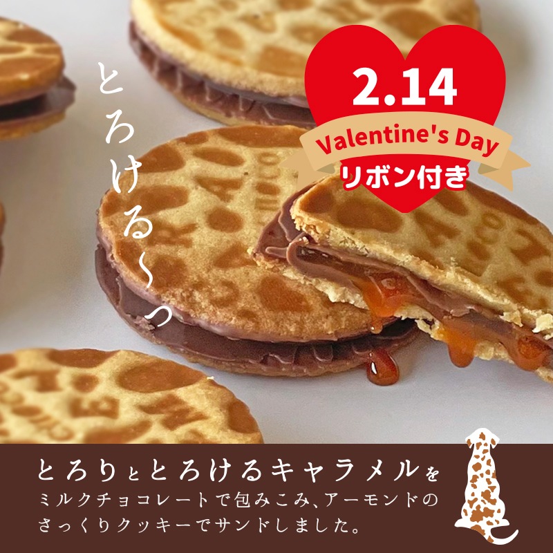 バレンタイン 2026 Carametian（キャラメシアン） 12個入