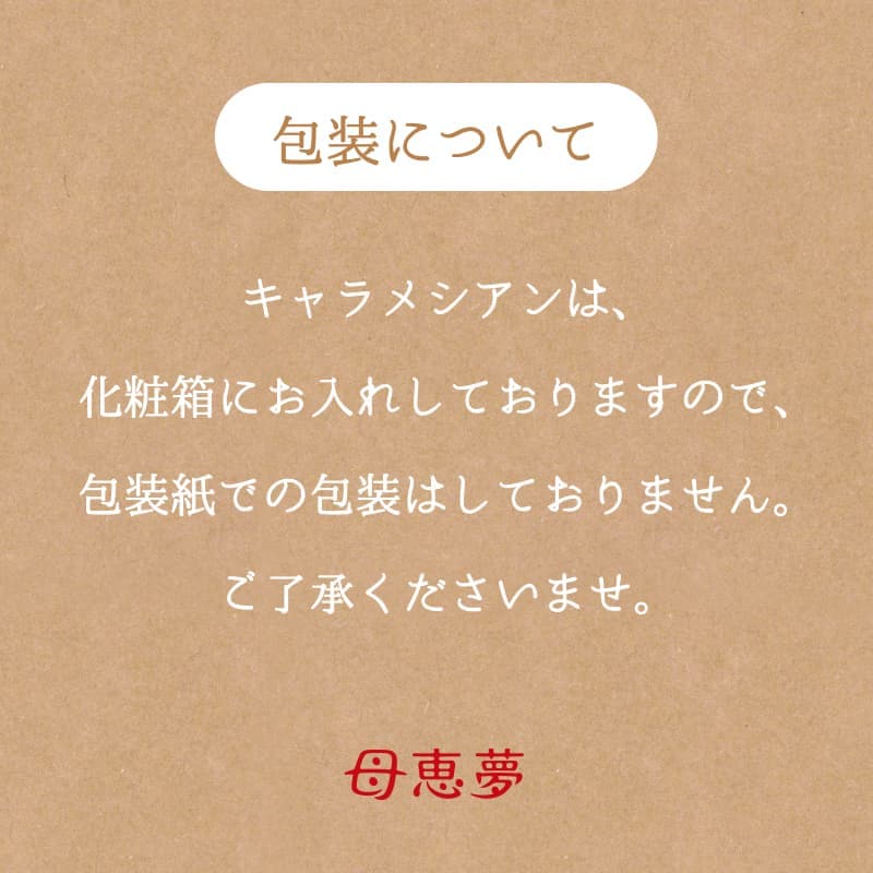 バレンタイン 2026 Carametian（キャラメシアン） 12個入