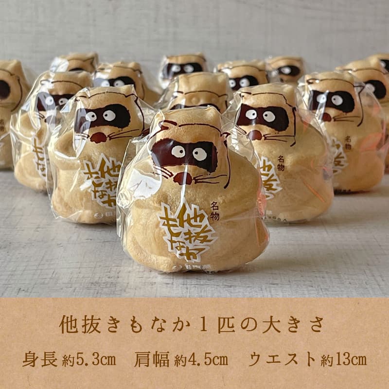 他抜きもなか 10個入箱