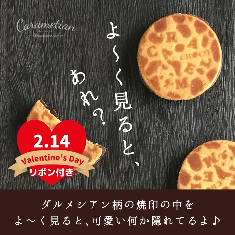 バレンタイン 2026 Carametian（キャラメシアン）8個入