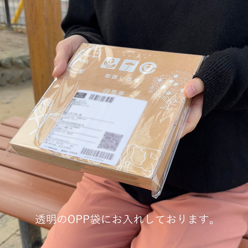 【送料無料】母恵夢（ポエム）本舗 はじめてのお試しセット（おためしボックス）