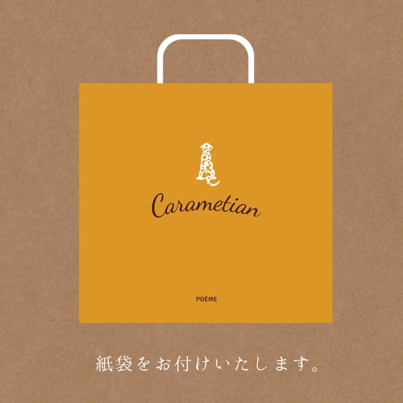 ホワイトデー2026 Carametian（キャラメシアン）8個入