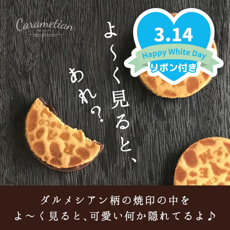 ホワイトデー2026 Carametian（キャラメシアン） 4個入