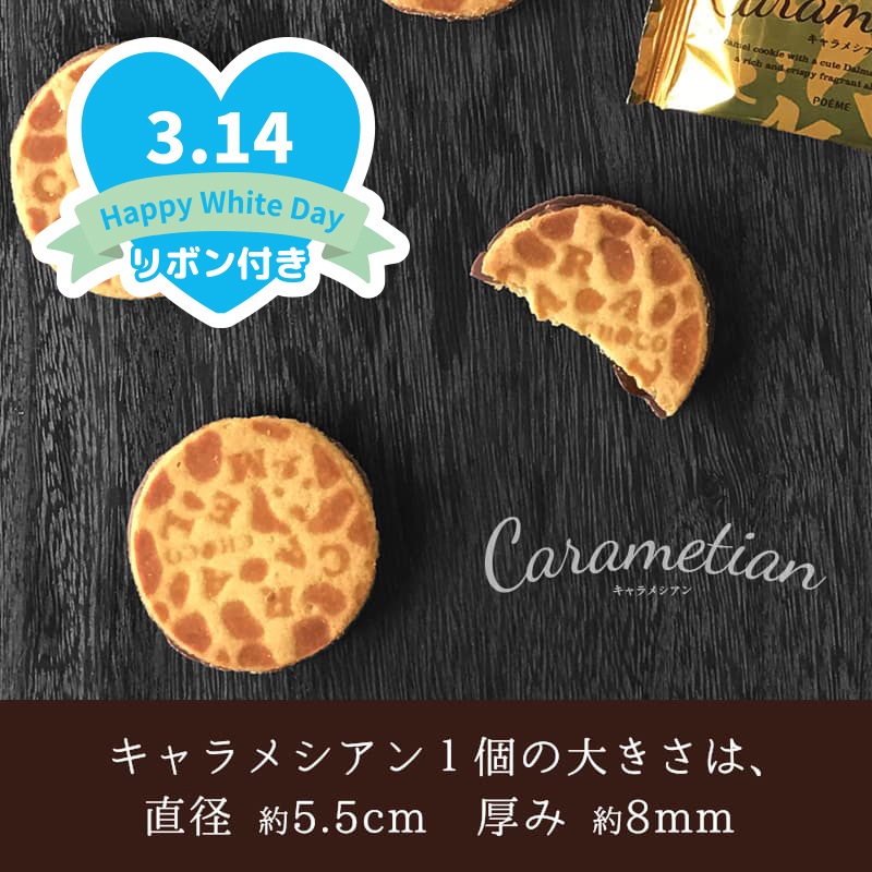 ホワイトデー 2026 Carametian（キャラメシアン） 12個入
