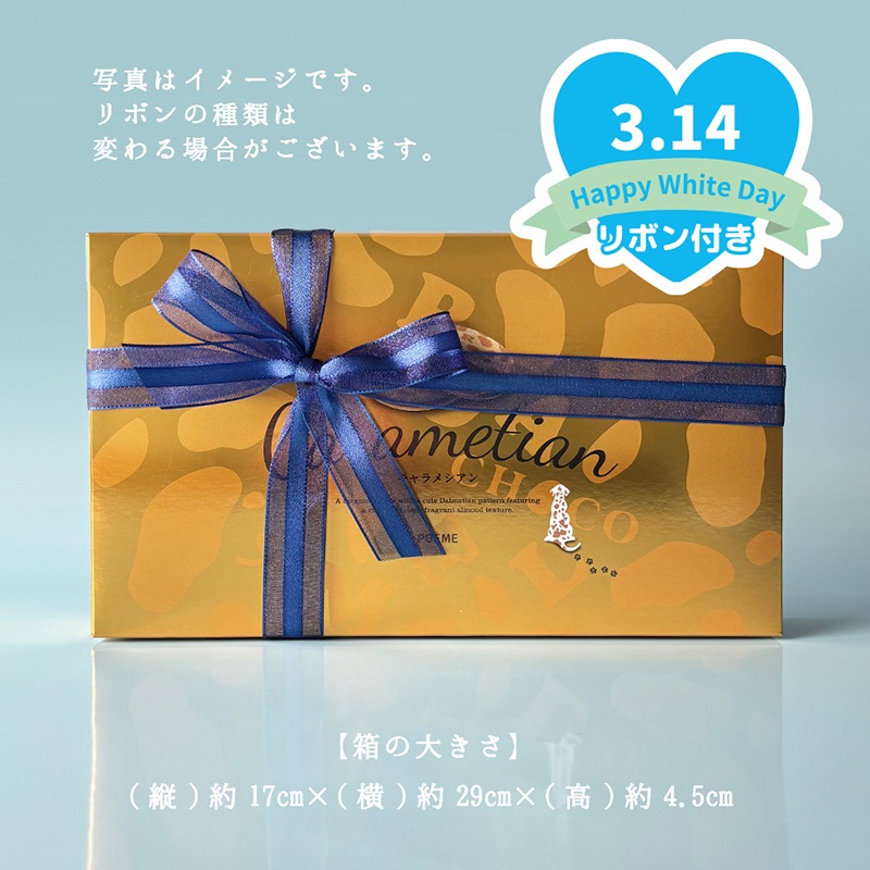 ホワイトデー 2026 Carametian（キャラメシアン） 12個入