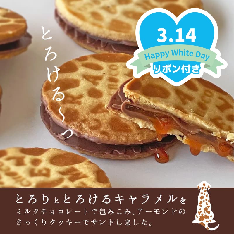 ホワイトデー 2026 Carametian（キャラメシアン） 12個入