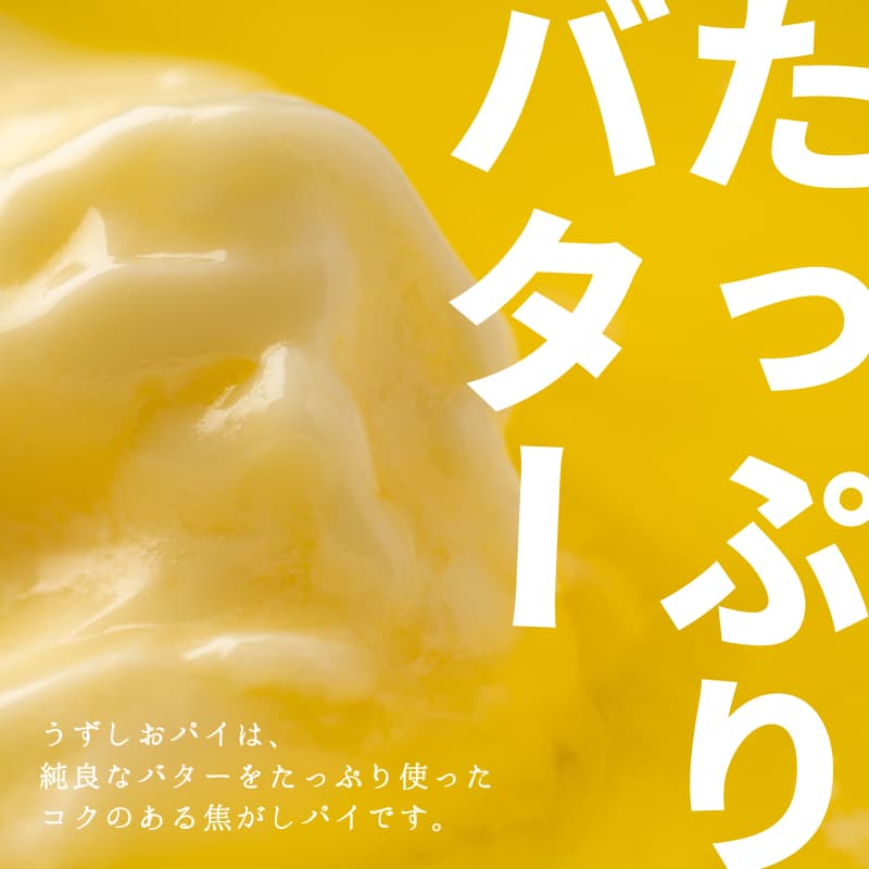 ホワイトデー2026 うずしおパイ 10枚入箱