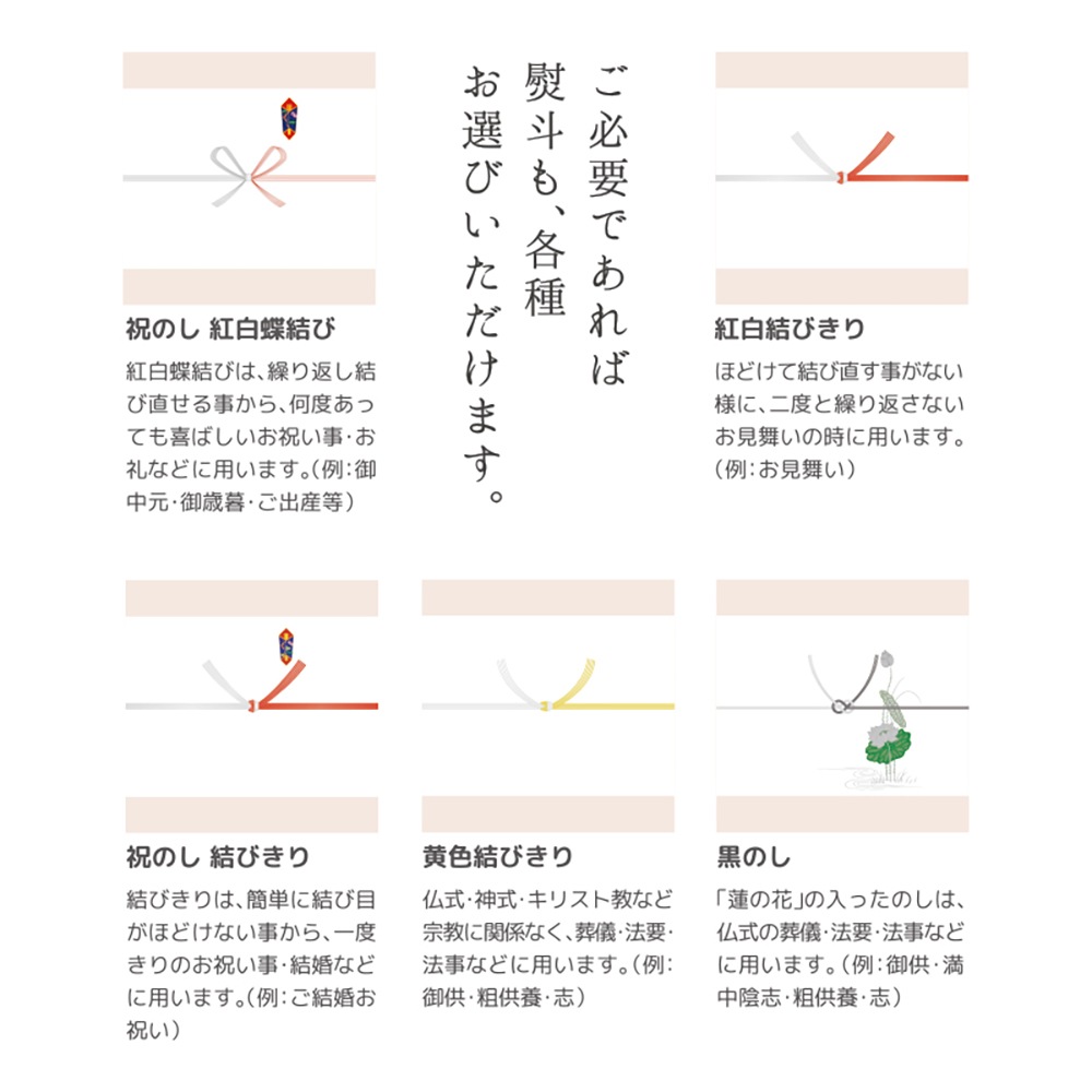 バレンタイン 2026 ベビー母恵夢「くるみショコラ」 10個入箱