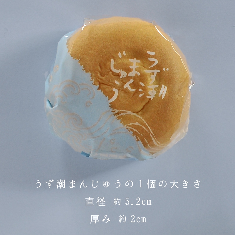 うず潮まんじゅう 24個入箱 | うず潮まんじゅう | 母恵夢本舗