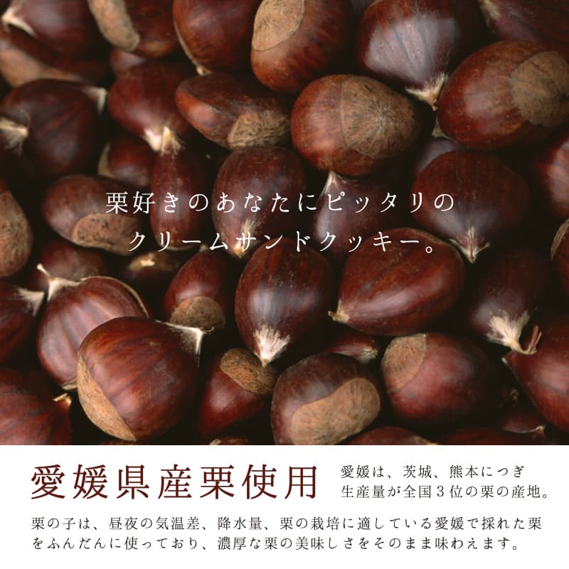 栗の子 8個入箱