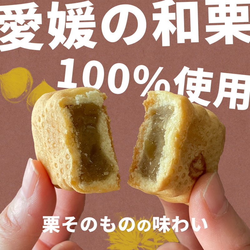 ベビー母恵夢「愛媛の純栗」 8個入箱