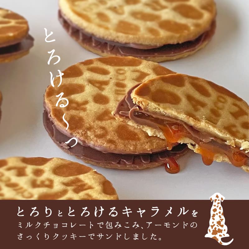 Carametian（キャラメシアン） 4個入
