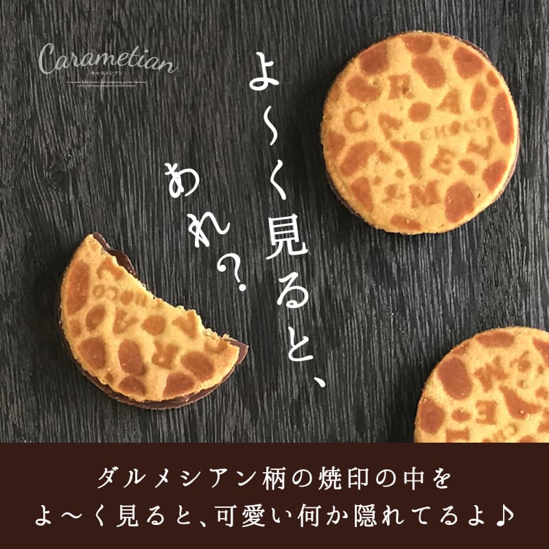 Carametian（キャラメシアン） 4個入