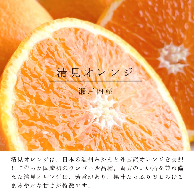 瀬戸内果樹の菓 すずなり 8枚入