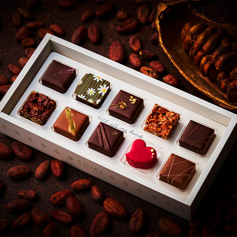 カカオ・インスピレーション 10個入