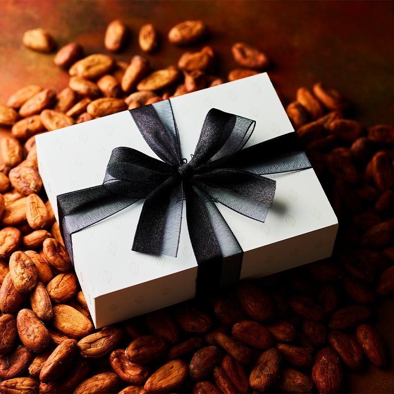 カカオ・インスピレーション 6個入