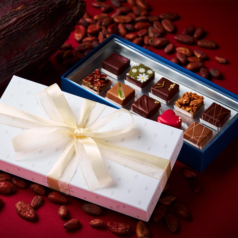 holiccc」 ／ ホリック｜Chocolate｜POIRE ポアール 公式オンライン