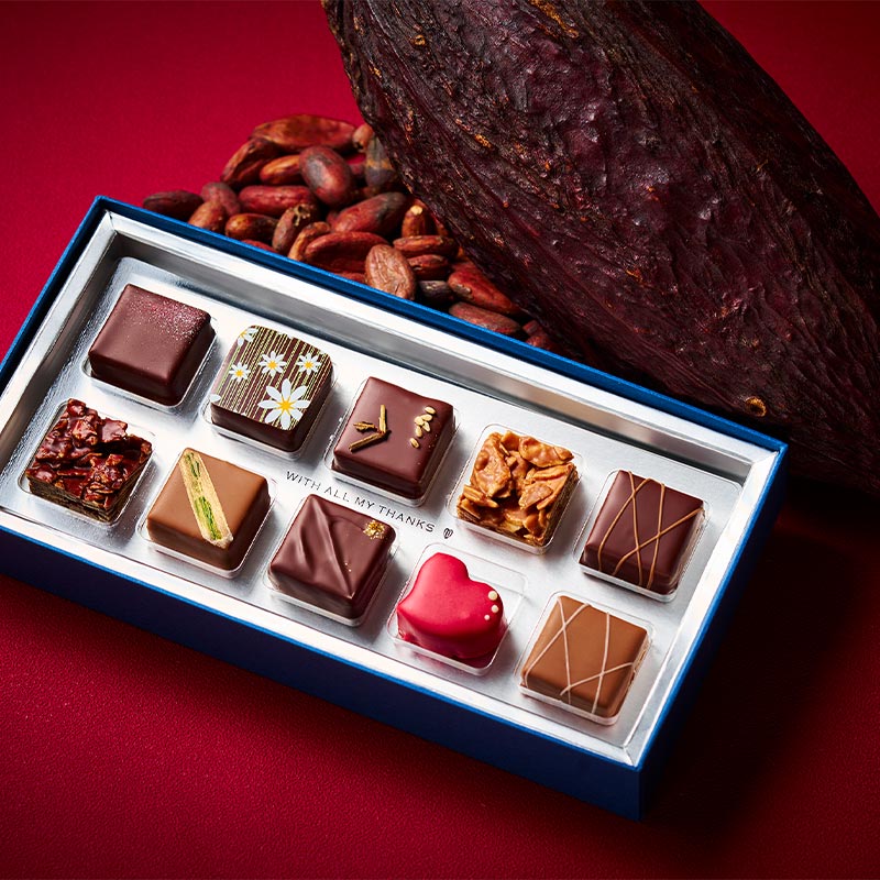 カカオ・インスピレーション 10個入