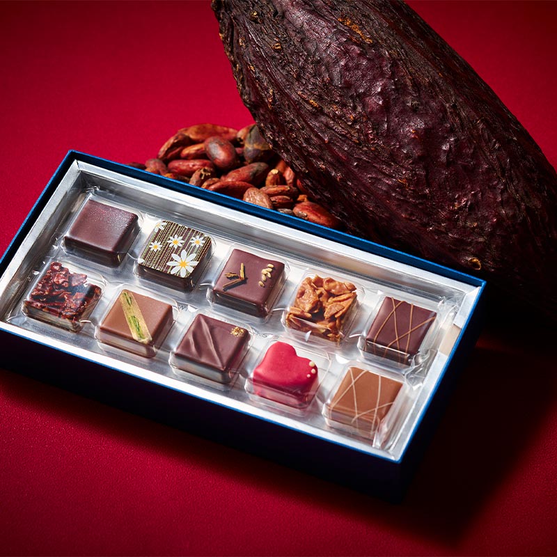 カカオ・インスピレーション 10個入