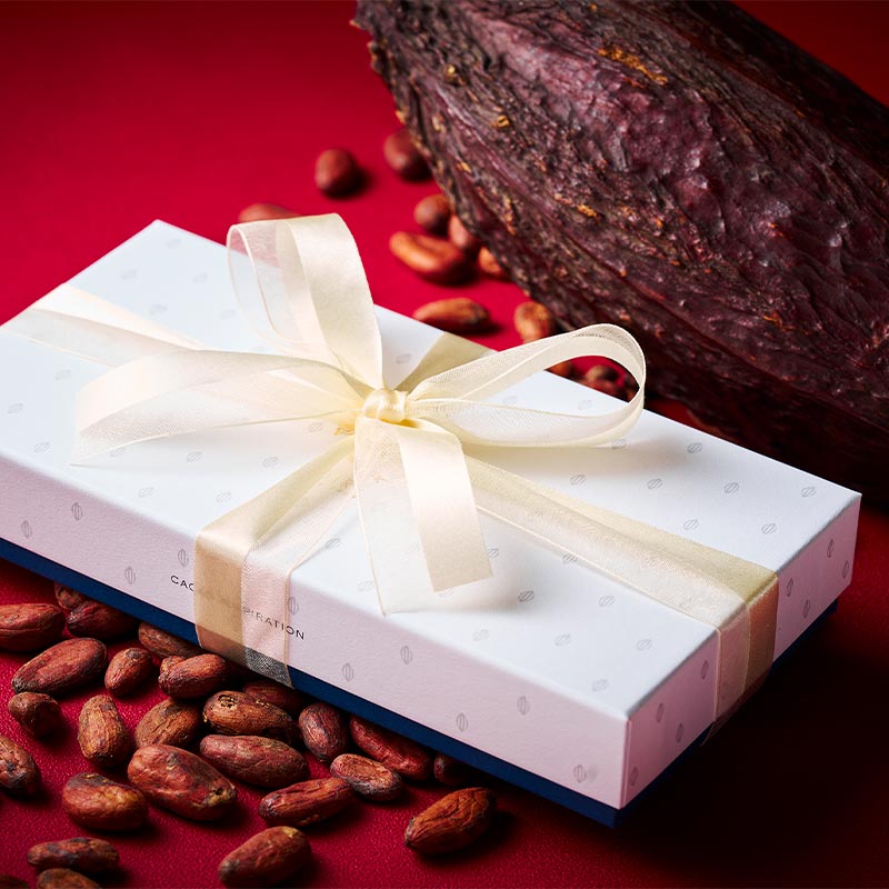 カカオ・インスピレーション 10個入