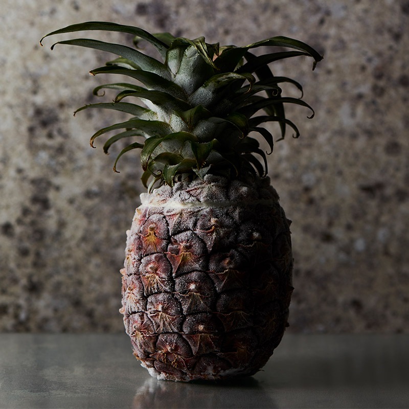 Peach Pine ԡѥ ɽۡʥۡˡ2023ǯ ͽ