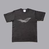 �紬���̡�Liminal Air Space-Time��Ⱦµ�ԥ����