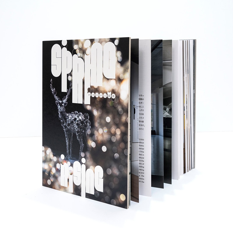 ��SPRING �來�������ư��Ÿ�����Ͽ