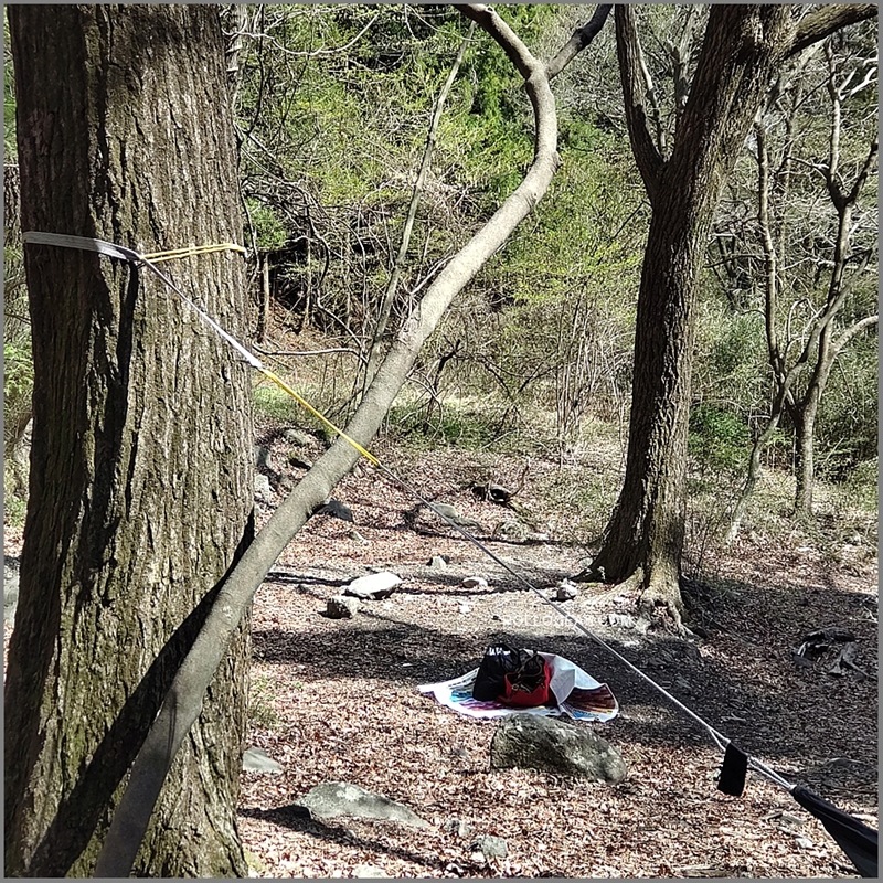 【送料無料】2本Set<BR>ハンモック Extension Sling<BR>エクステンションスリング<BR>2.8㎜ ダイニーマロープ<BR>ツリーストラップ 延長<BR>ウーピースリング 延長