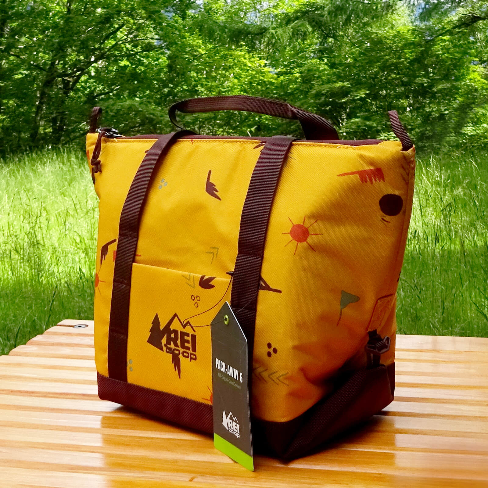 新品•未使用] REI co-op 保冷リュック キャンプ調理道具セット