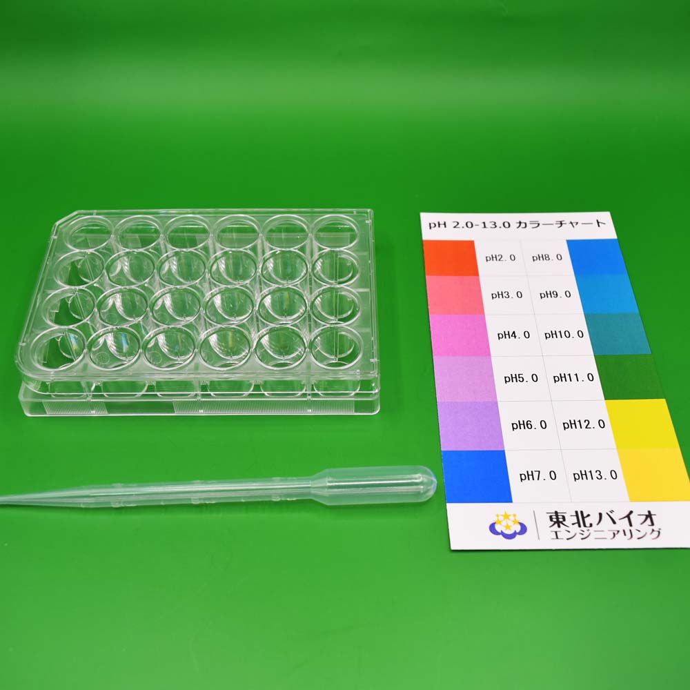 酸とアルカリの反応（10セット入）