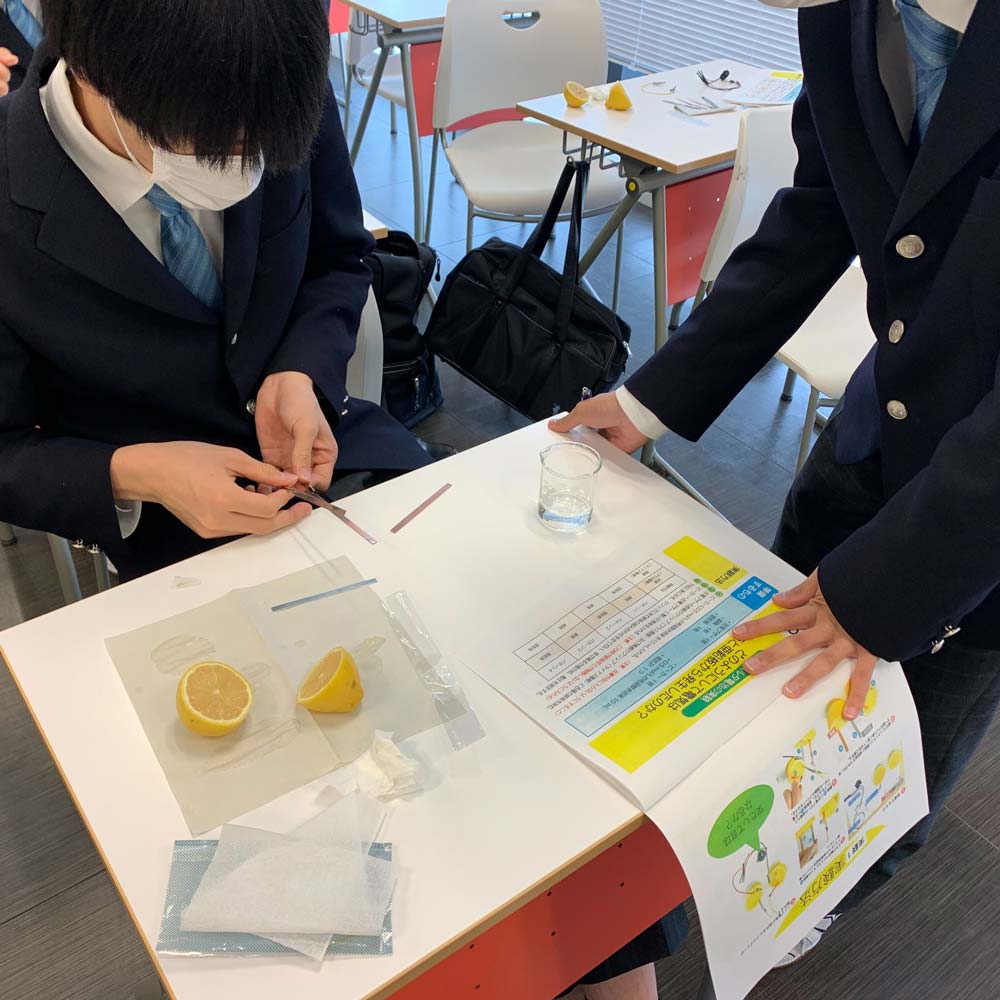 レモン電池（10セット入）