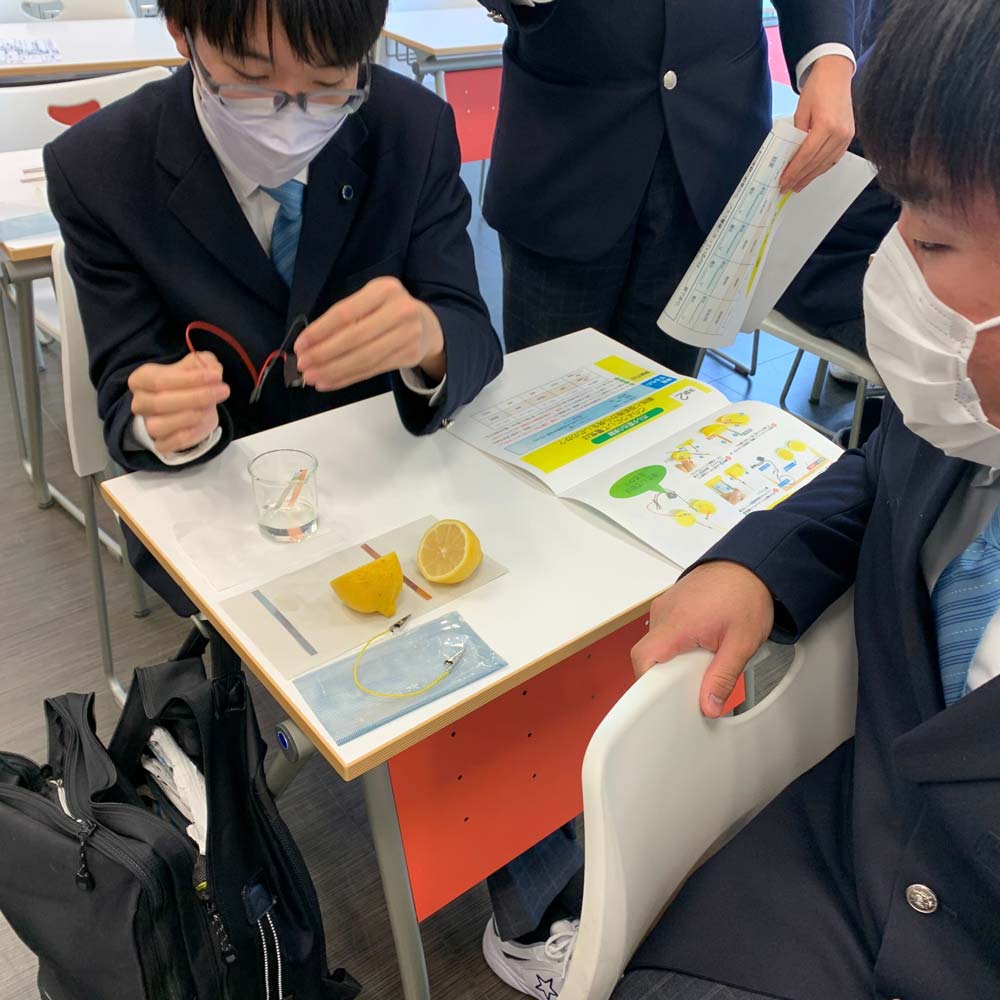 レモン電池（10セット入）