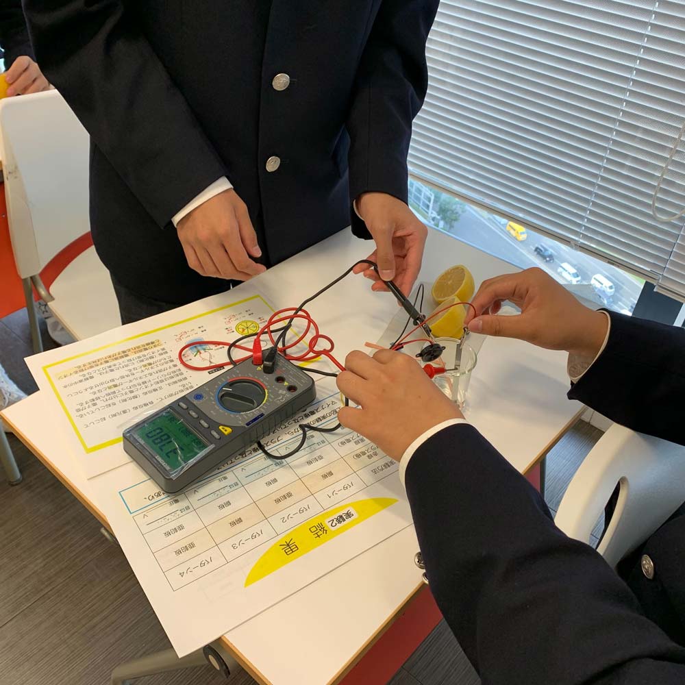 レモン電池（10セット入）