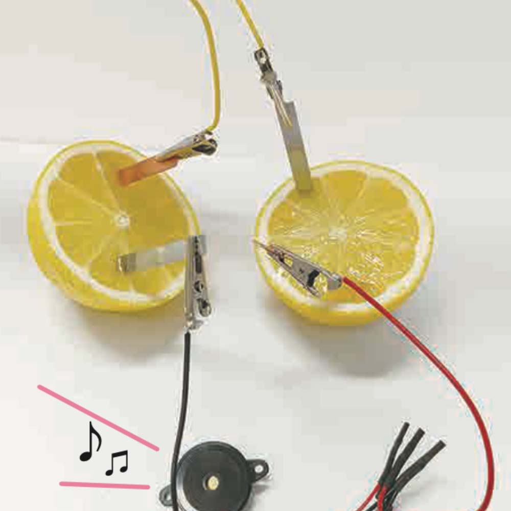 レモン電池（10セット入）