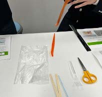 筋肉模型（10セット入）