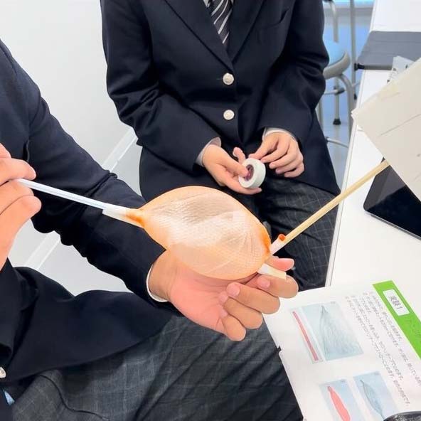 筋肉模型（10セット入）