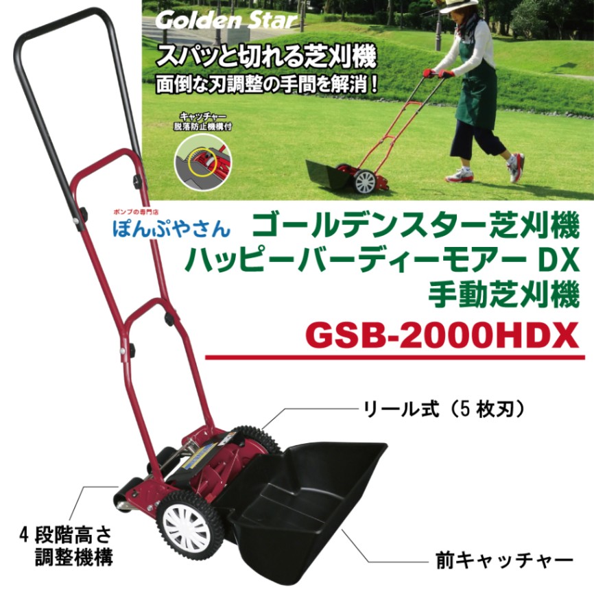 Amazon.co.jp: キンボシ(Kinboshi) 【日本製】ゴールデンスター