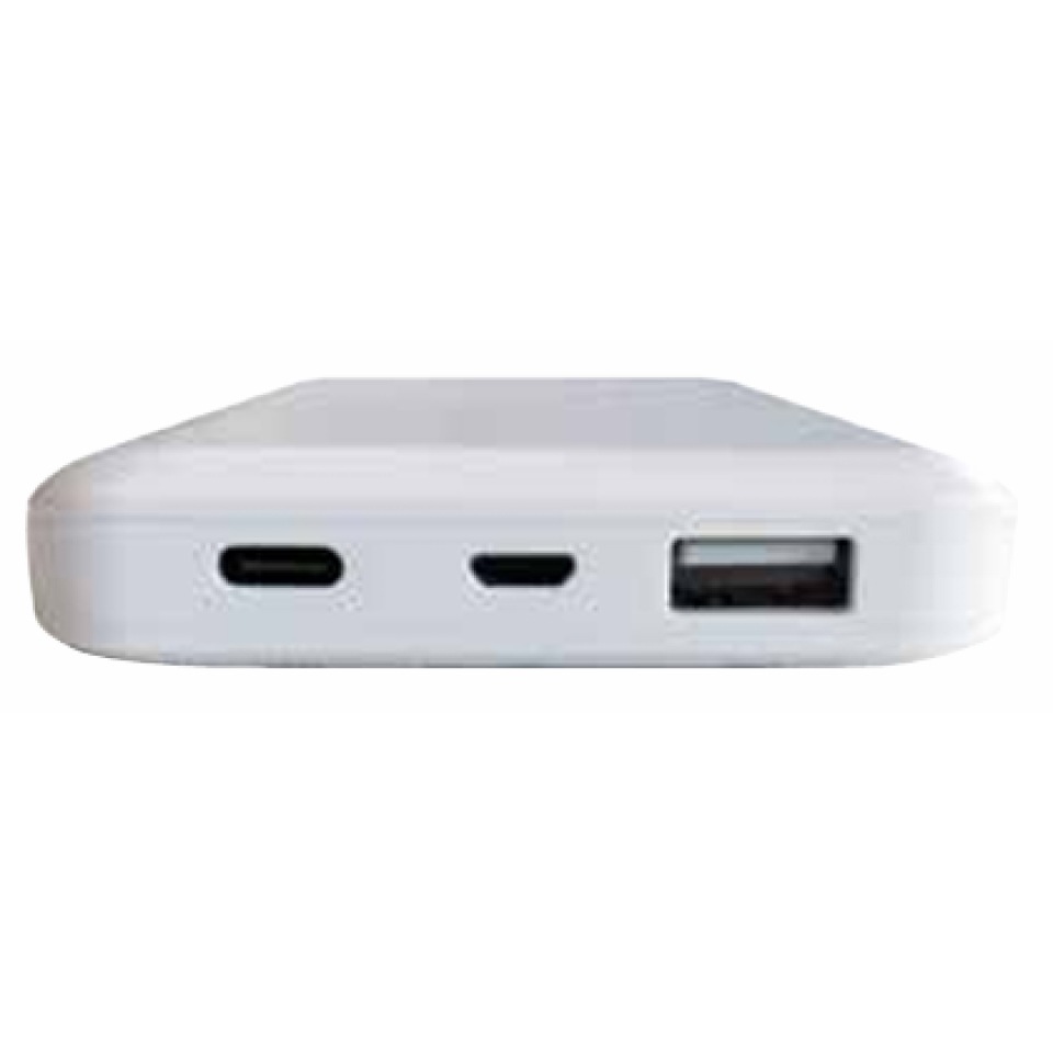 �ٻ��� ��Х���Хåƥ꡼ FSLP-CA100W