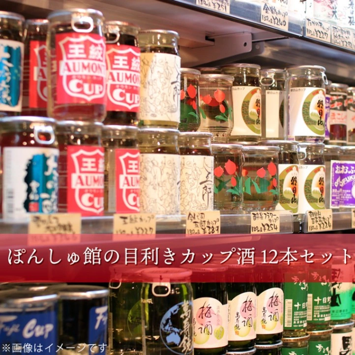ぽんしゅ館の目利きカップ酒 12本セット