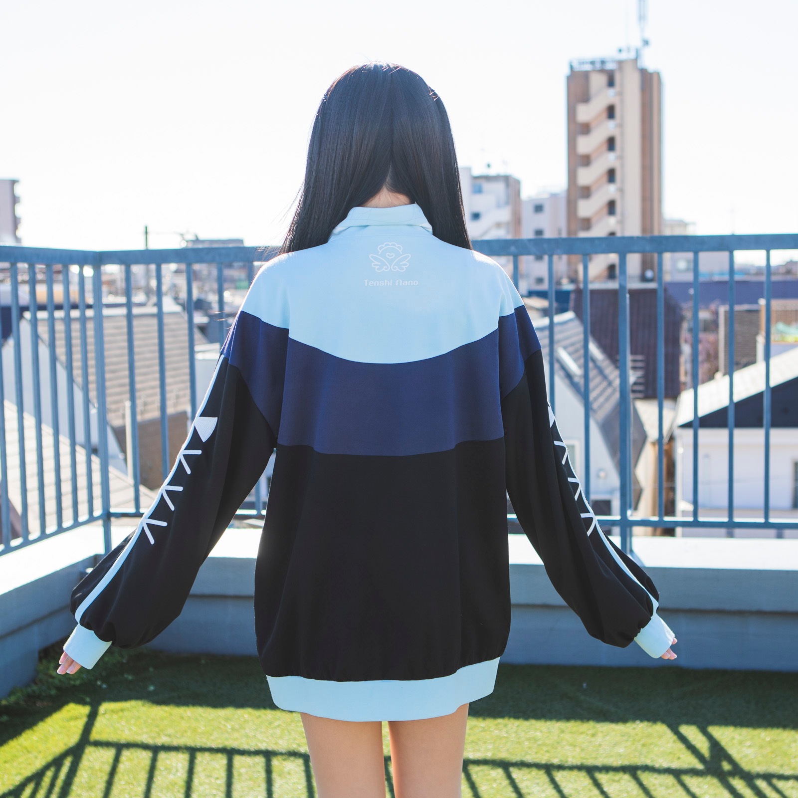 VTuber��ŷ�Ȥʤ��ͤ��ǥ������ŷ�ȤȰ��ε������㡼����