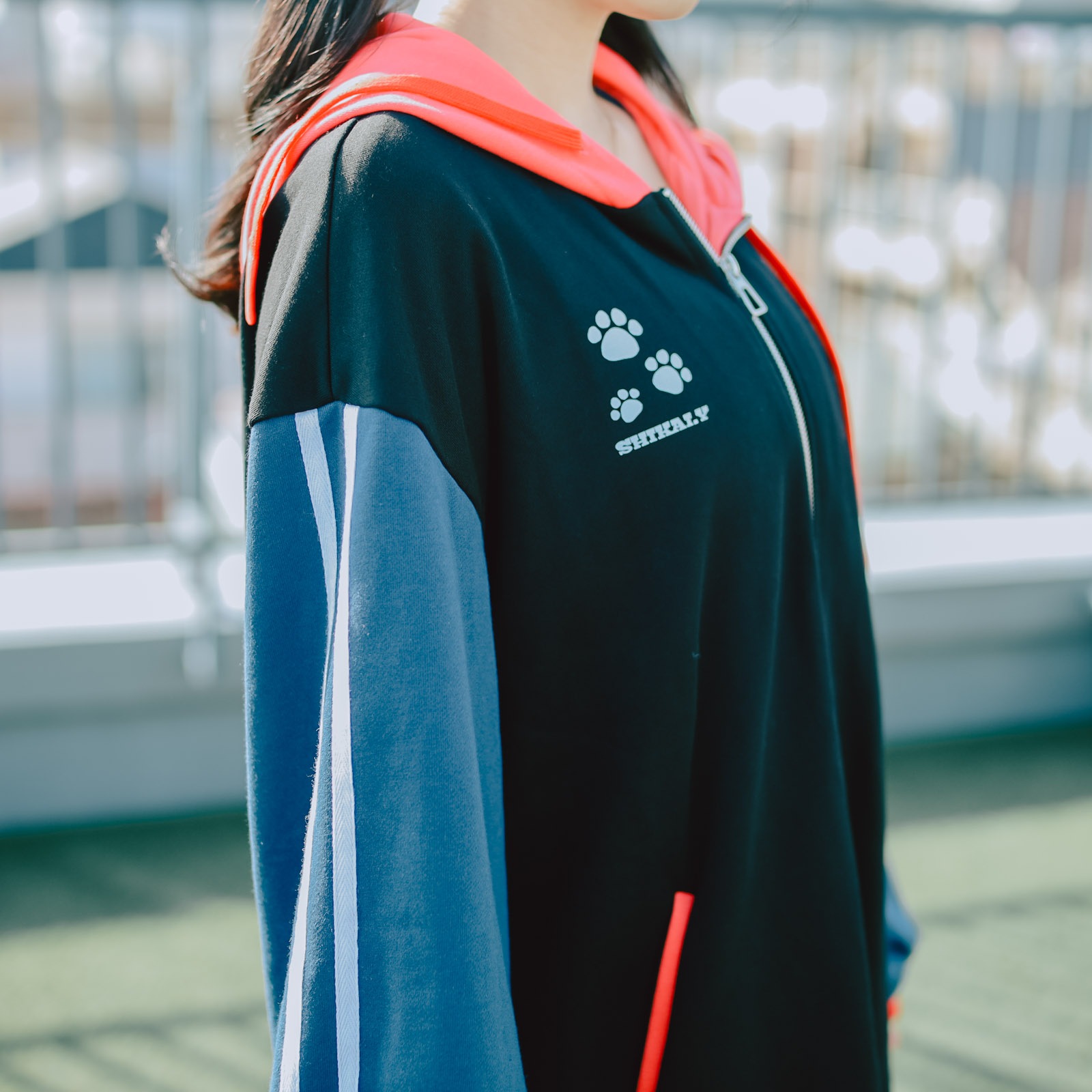 ڻĤ鷺VTuberλϲͤǥؤäѡ٢ŵݥȥ