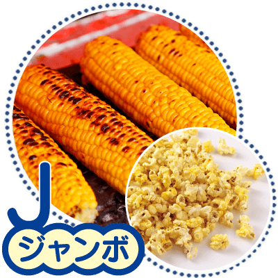 焼きとうもろこし - おまとめ買い - ポップコーンパパ!32種類!日本一の