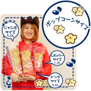 �ߥ륭���᡼�ץ�