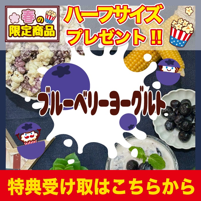 ��3��1������ץ쥼��ȡۥ֥롼�٥꡼�衼�����̣