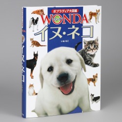 イヌ・ネコ