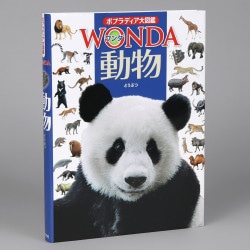 動物