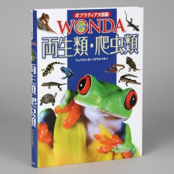 両生類・爬虫類