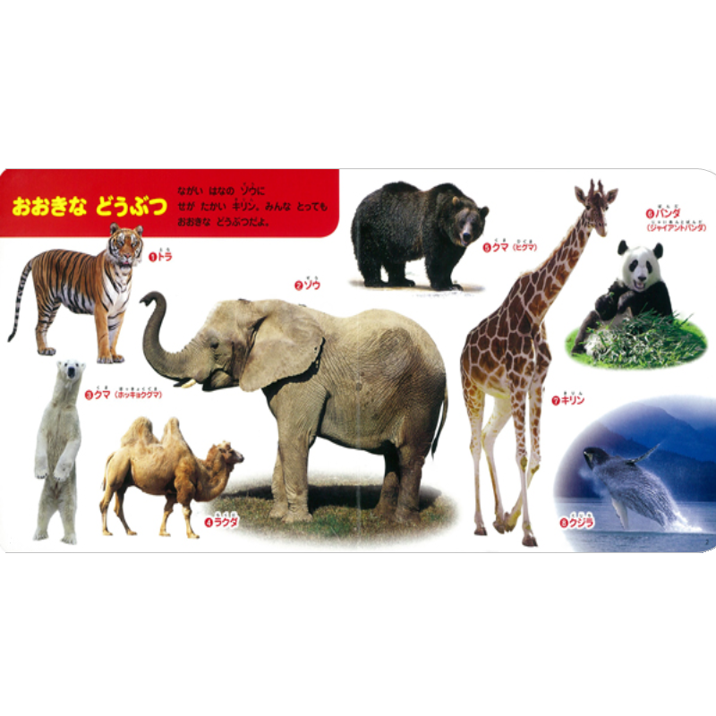 あつまれ！ どうぶつ100kodo-mall(こどもーる)／ポプラ社公式