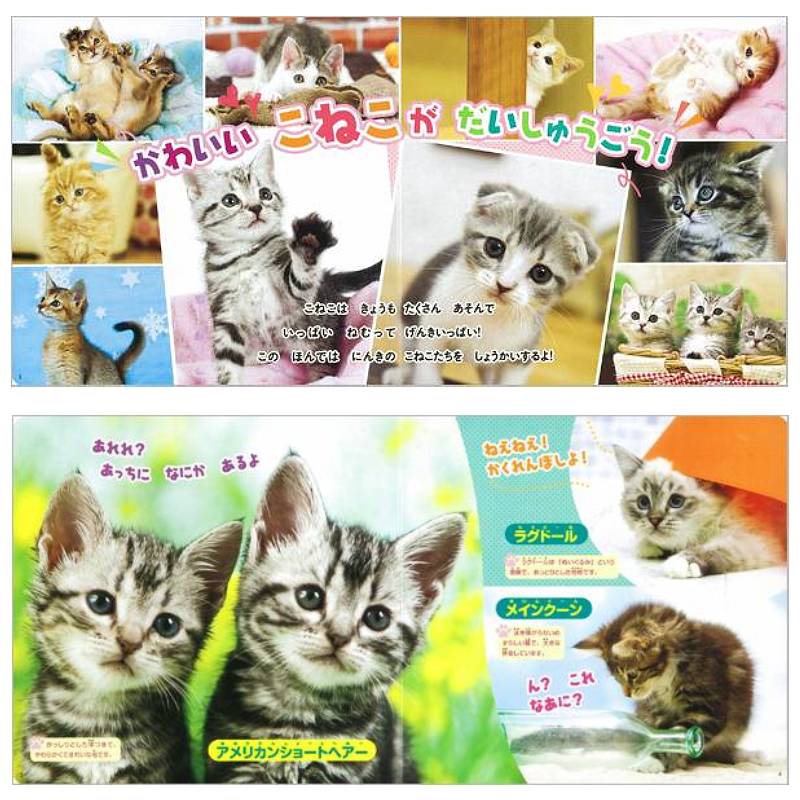 こねこkodo-mall(こどもーる)／ポプラ社公式通販サイト