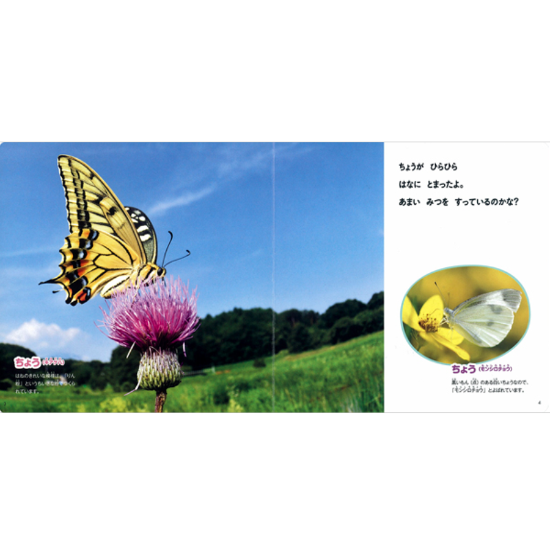 こんちゅうkodo-mall(こどもーる)／ポプラ社公式通販サイト